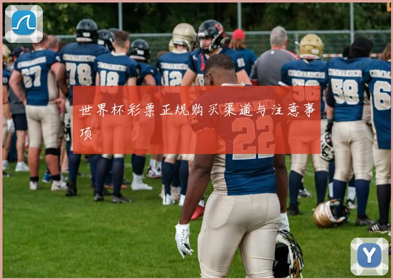 世界杯彩票正规购买渠道与注意事项