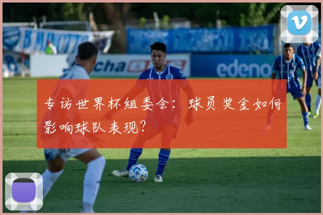 专访世界杯组委会:球员奖金如何影响球队表现?