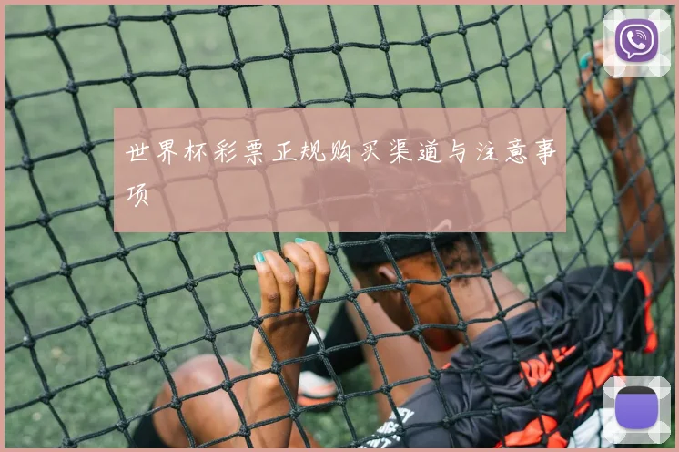 世界杯彩票正规购买渠道与注意事项