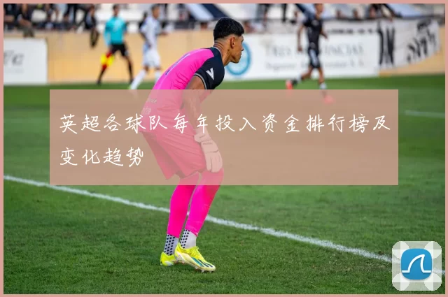 英超各球队每年投入资金排行榜及变化趋势