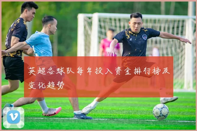 英超各球队每年投入资金排行榜及变化趋势