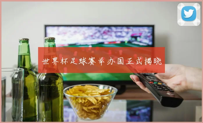 世界杯足球赛举办国正式揭晓