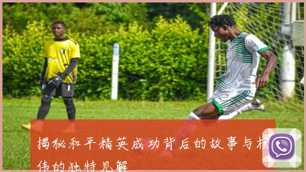 揭秘和平精英成功背后的故事与杨伟的独特见解