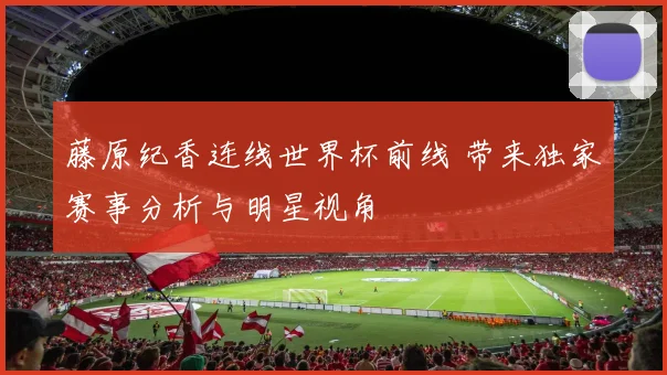 藤原纪香连线世界杯前线 带来独家赛事分析与明星视角