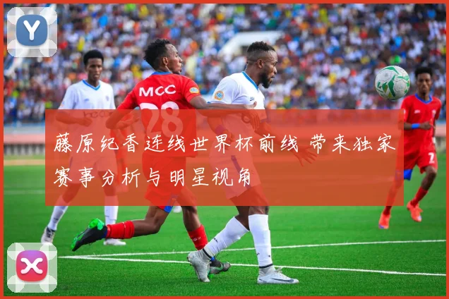 藤原纪香连线世界杯前线 带来独家赛事分析与明星视角