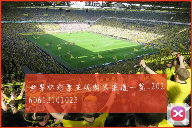 世界杯彩票正规购买渠道一览_20260613101025