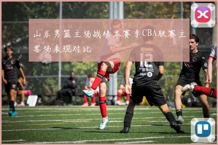 山东男篮主场战绩本赛季CBA联赛主客场表现对比