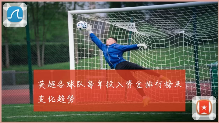 英超各球队每年投入资金排行榜及变化趋势