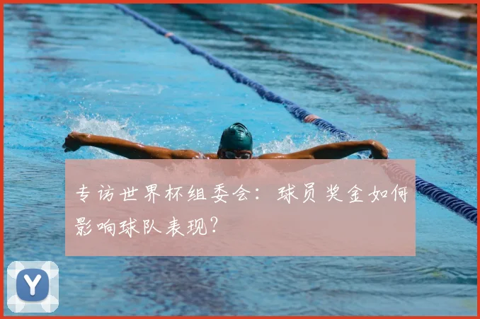 专访世界杯组委会:球员奖金如何影响球队表现?