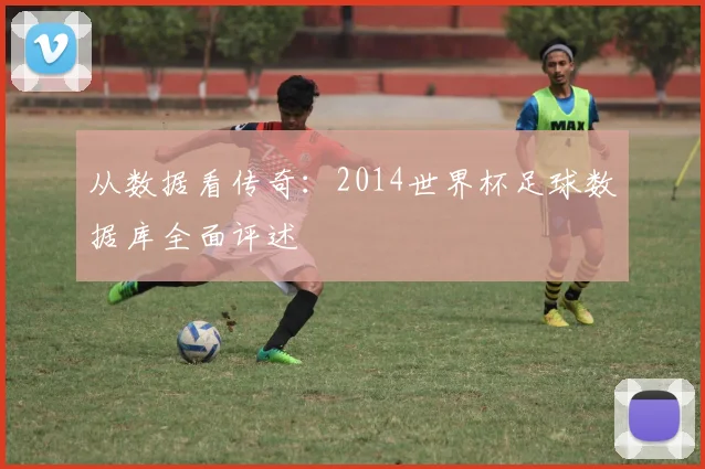 从数据看传奇：2014世界杯足球数据库全面评述