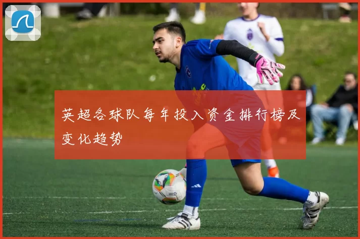 英超各球队每年投入资金排行榜及变化趋势