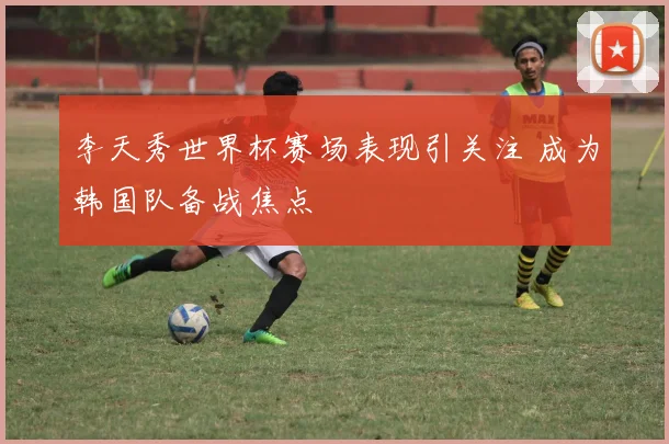 李天秀世界杯赛场表现引关注 成为韩国队备战焦点